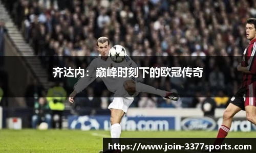 3377体育官网